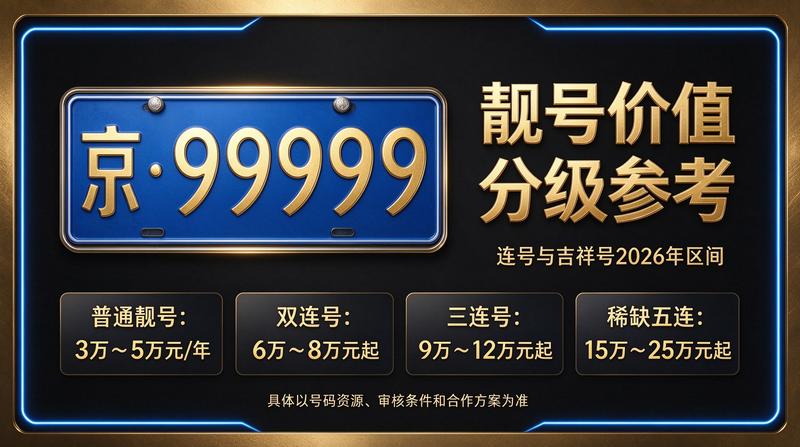 闲置北京指标京牌大的出租公司业务实景